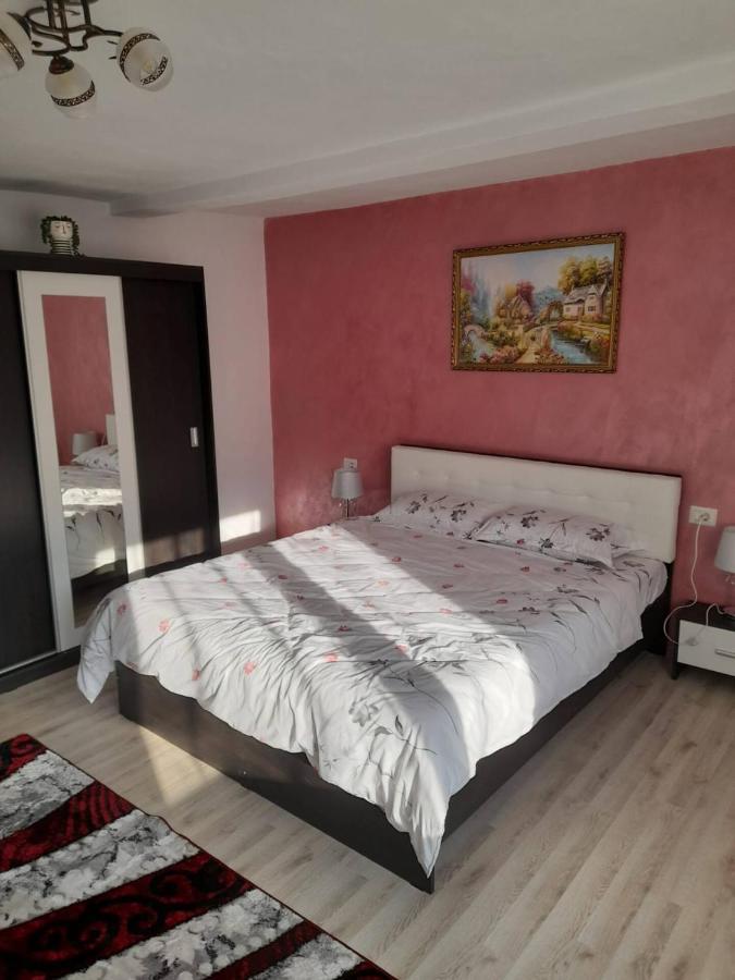 Appartement Casa M&M à Vişeu de Sus Extérieur photo