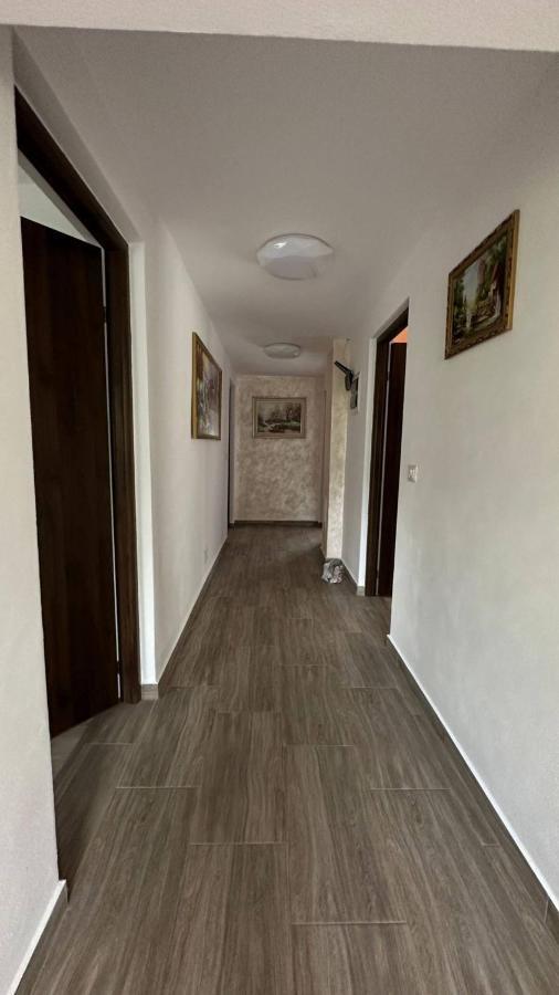 Appartement Casa M&M à Vişeu de Sus Extérieur photo