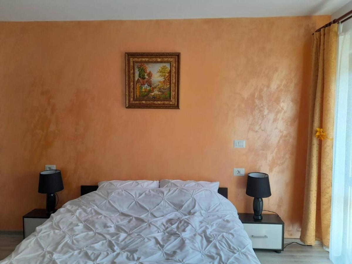 Appartement Casa M&M à Vişeu de Sus Extérieur photo