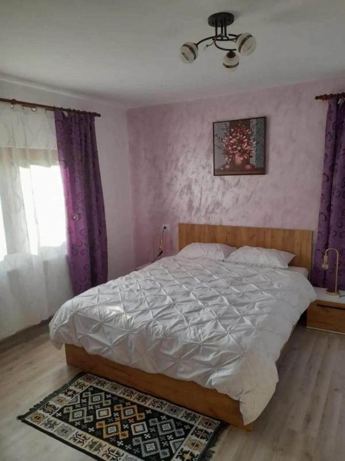 Appartement Casa M&M à Vişeu de Sus Extérieur photo